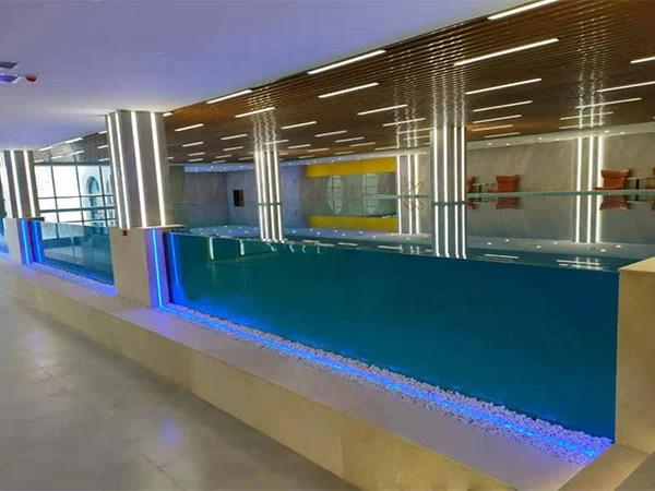 Proyecto de piscina arquitectónica Buleway: Valle de Tierra Santa de Jin Yan'an